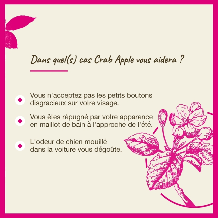 Crab Apple Bach Original - Fleur de Bach Authentique 20 ml (Pommier Sauvage) Bach Original Nelsons 4 - mesfleursdebach.com 