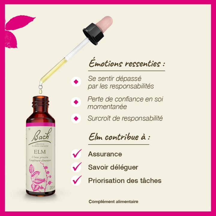 Elm Bach Original - Fleur de Bach Authentique 20 ml (Orme) Bach Original Nelsons 3 - mesfleursdebach.com 