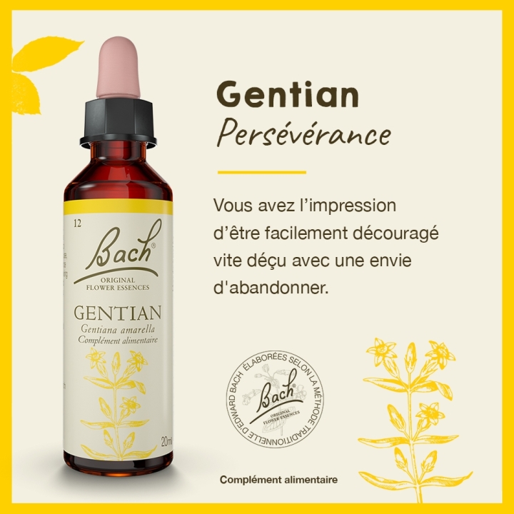 Gentian Bach Original - Fleur de Bach Authentique 20 ml (Gentiane) Bach Original Nelsons 2 - mesfleursdebach.com 