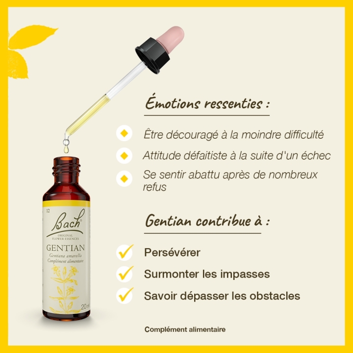 Gentian Bach Original - Fleur de Bach Authentique 20 ml (Gentiane) Bach Original Nelsons 3 - mesfleursdebach.com 