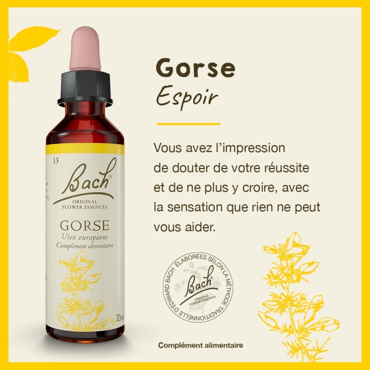 Gorse Bach Original - Fleur de Bach Authentique 20 ml (Ajonc) Bach Original Nelsons 2 - mesfleursdebach.com 