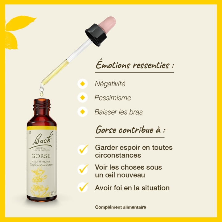 Gorse Bach Original - Fleur de Bach Authentique 20 ml (Ajonc) Bach Original Nelsons 3 - mesfleursdebach.com 