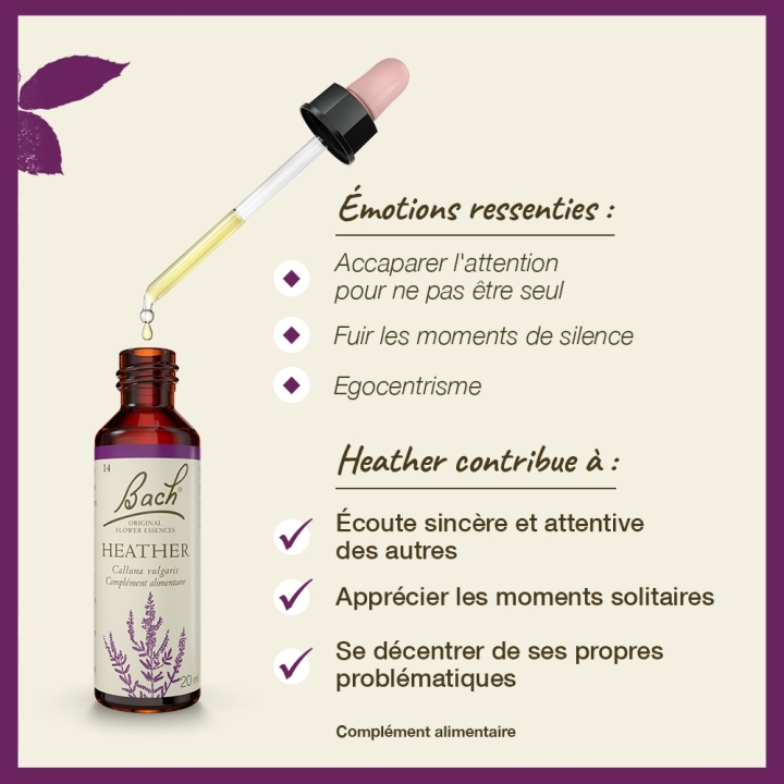 Heather Bach Original - Fleur de Bach Authentique 20 ml (Bruyère) Bach Original Nelsons 3 - mesfleursdebach.com 