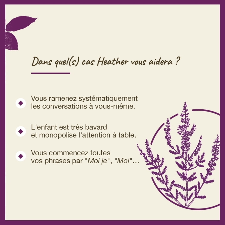 Heather Bach Original - Fleur de Bach Authentique 20 ml (Bruyère) Bach Original Nelsons 4 - mesfleursdebach.com 