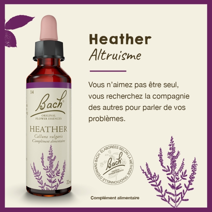 Heather Bach Original - Fleur de Bach Authentique 20 ml (Bruyère) Bach Original Nelsons 2 - mesfleursdebach.com 