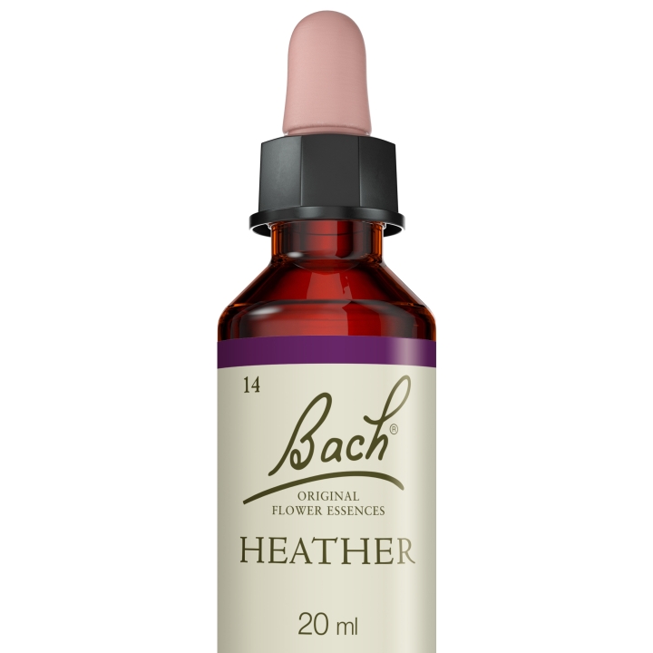 Heather Bach Original - Fleur de Bach Authentique 20 ml (Bruyère) Bach Original Nelsons 5 - mesfleursdebach.com 