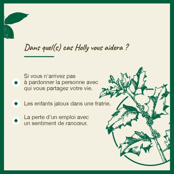Holly Bach Original - Fleur de Bach Authentique 20 ml (Houx) Bach Original Nelsons 4 - mesfleursdebach.com 