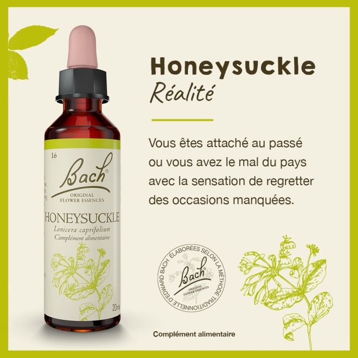 Honeysuckle Bach Original - Fleur de Bach Authentique 20 ml (Chèvrefeuille) Bach Original Nelsons 2 - mesfleursdebach.com 