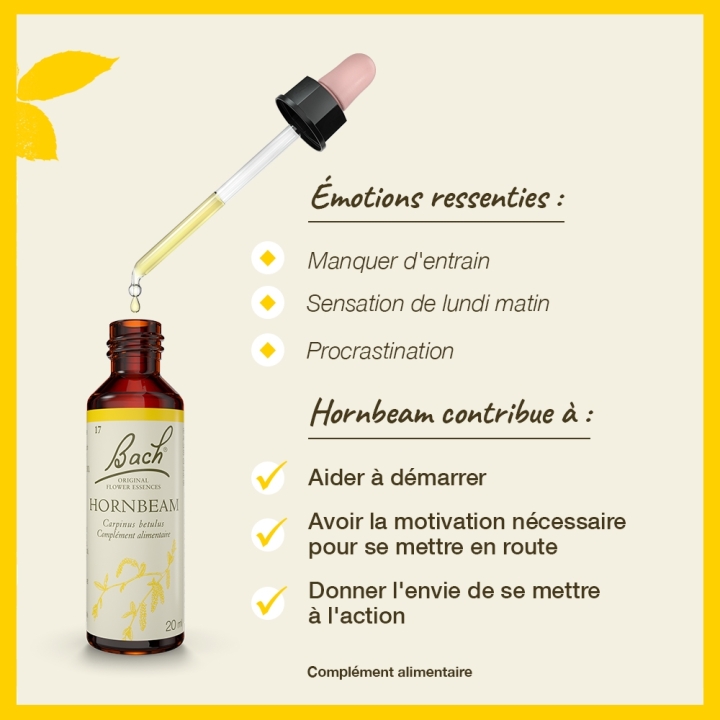 Hornbeam Bach Original - Fleur de Bach Authentique 20 ml (Charme) Bach Original Nelsons 3 - mesfleursdebach.com 