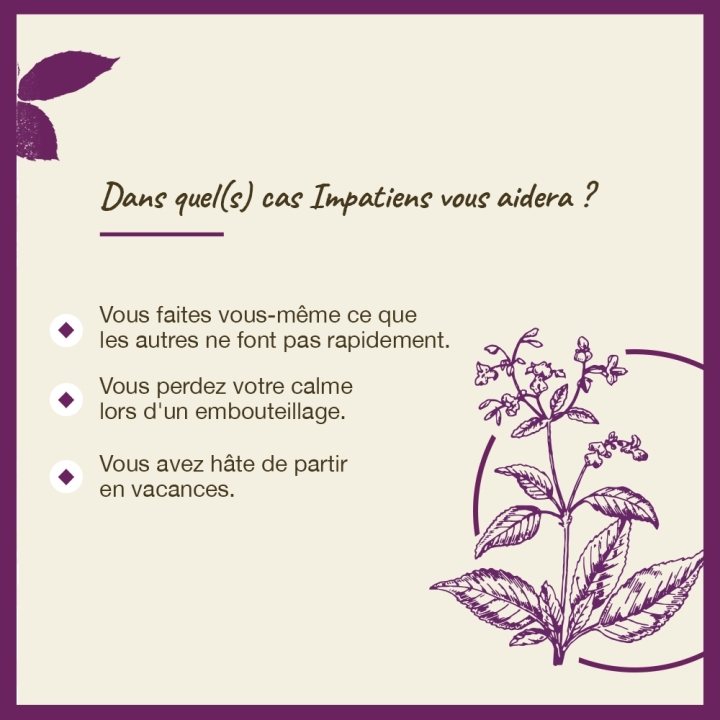 Impatiens Bach Original - Fleur de Bach Authentique 20 ml (Impatiente) Bach Original Nelsons 4 - mesfleursdebach.com 