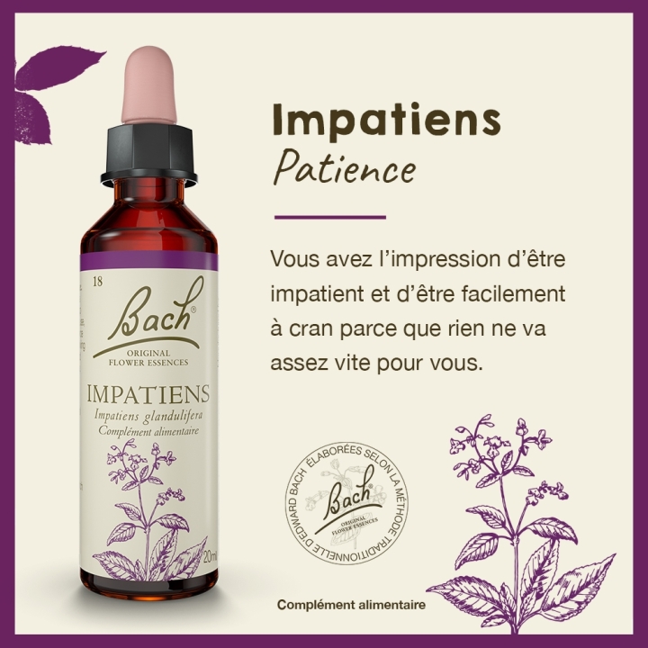Impatiens Bach Original - Fleur de Bach Authentique 20 ml (Impatiente) Bach Original Nelsons 2 - mesfleursdebach.com 