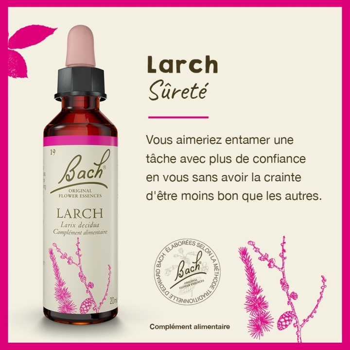 Larch Bach Original - Fleur de Bach Authentique 20 ml (Mélèze) Bach Original Nelsons 2 - mesfleursdebach.com 