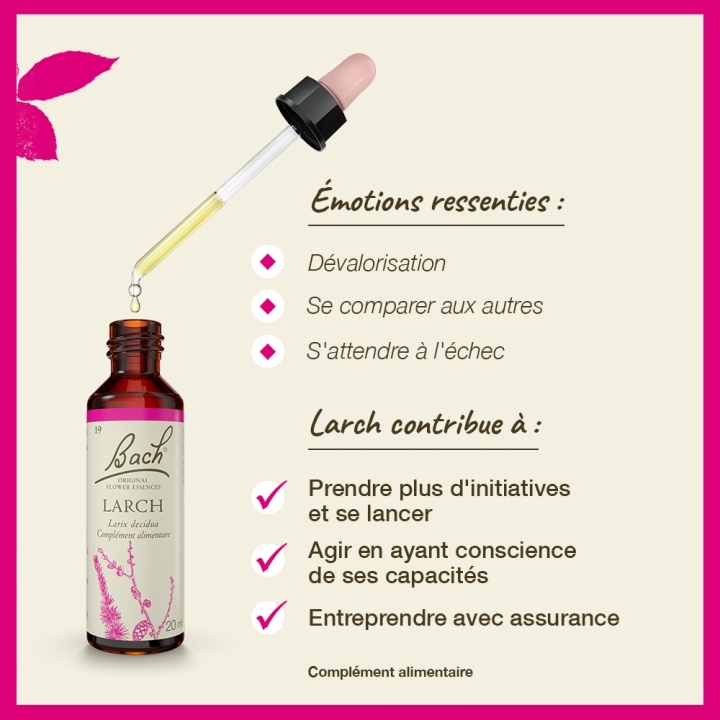 Larch Bach Original - Fleur de Bach Authentique 20 ml (Mélèze) Bach Original Nelsons 3 - mesfleursdebach.com 