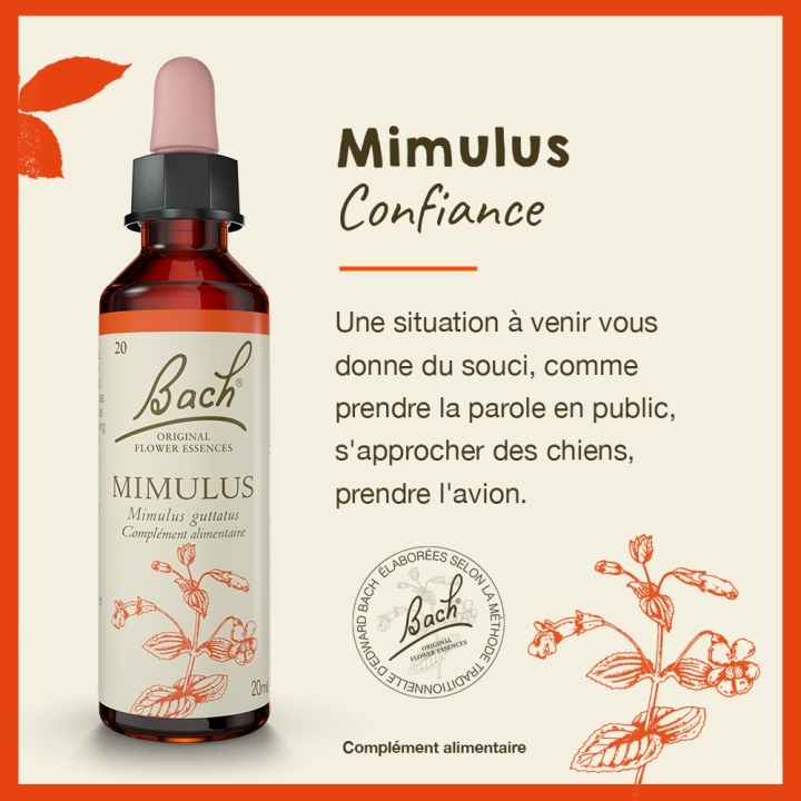 Mimulus Bach Original - Fleur de Bach Authentique 20 ml (Mimule) Bach Original Nelsons 2 - mesfleursdebach.com 