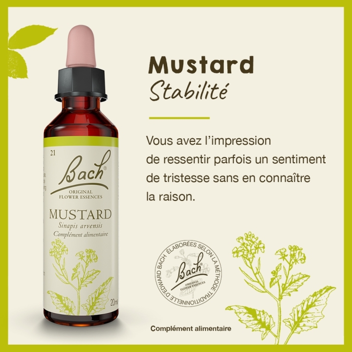 Mustard Bach Original - Fleur de Bach Authentique 20 ml (Moutarde) Bach Original Nelsons 2 - mesfleursdebach.com 