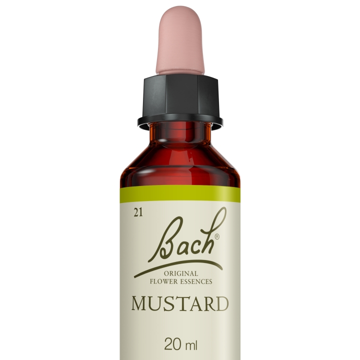 Mustard Bach Original - Fleur de Bach Authentique 20 ml (Moutarde) Bach Original Nelsons 5 - mesfleursdebach.com 