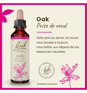 Oak fleurs de Bach Original 20 ml (Chêne)