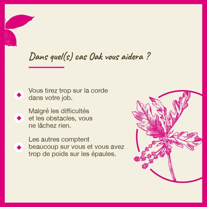 Oak Bach Original - Fleur de Bach Authentique 20 ml (Chêne) Bach Original Nelsons 4 - mesfleursdebach.com 
