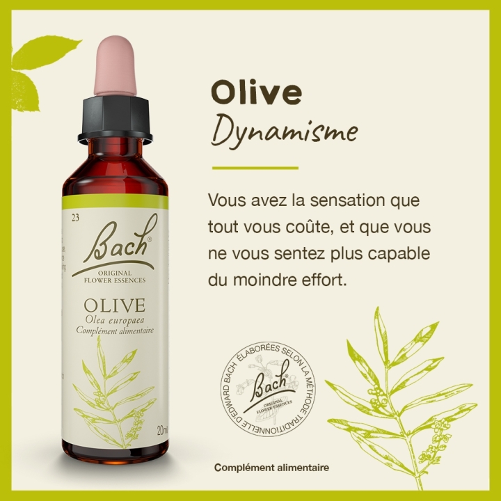 Olive Bach Original - Fleur de Bach Authentique 20 ml (Olive) Bach Original Nelsons 2 - mesfleursdebach.com 