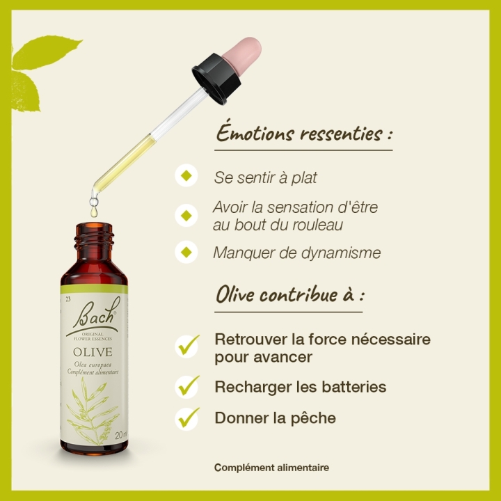 Olive Bach Original - Fleur de Bach Authentique 20 ml (Olive) Bach Original Nelsons 3 - mesfleursdebach.com 