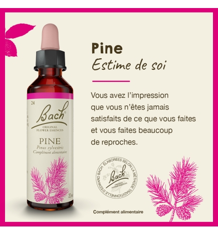 Pine fleurs de Bach Original 20 ml (Pin Sylvestre)