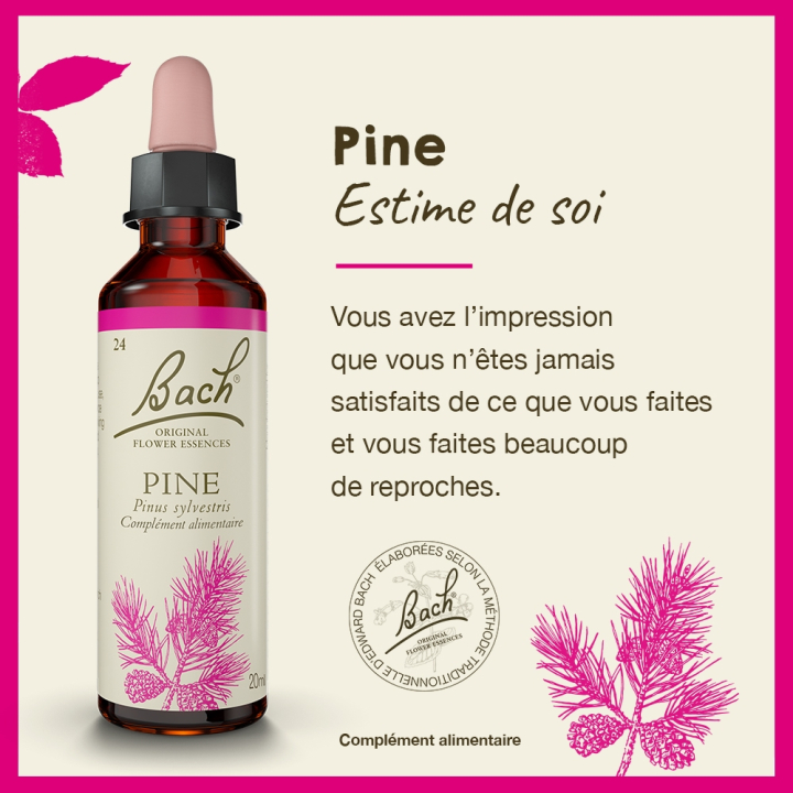 Pine Bach Original - Fleur de Bach Authentique 20 ml (Pin Sylvestre) Bach Original Nelsons 2 - mesfleursdebach.com 