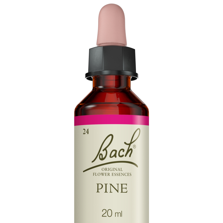 Pine Bach Original - Fleur de Bach Authentique 20 ml (Pin Sylvestre) Bach Original Nelsons 5 - mesfleursdebach.com 