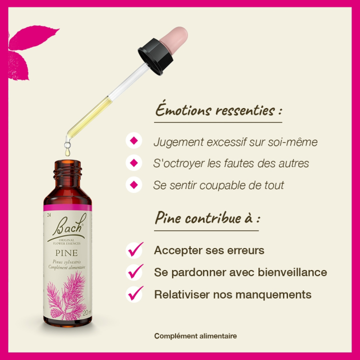 Pine Bach Original - Fleur de Bach Authentique 20 ml (Pin Sylvestre) Bach Original Nelsons 3 - mesfleursdebach.com 
