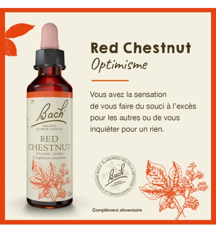 Red Chestnut fleurs de Bach Original 20 ml (Marronnier Rouge)