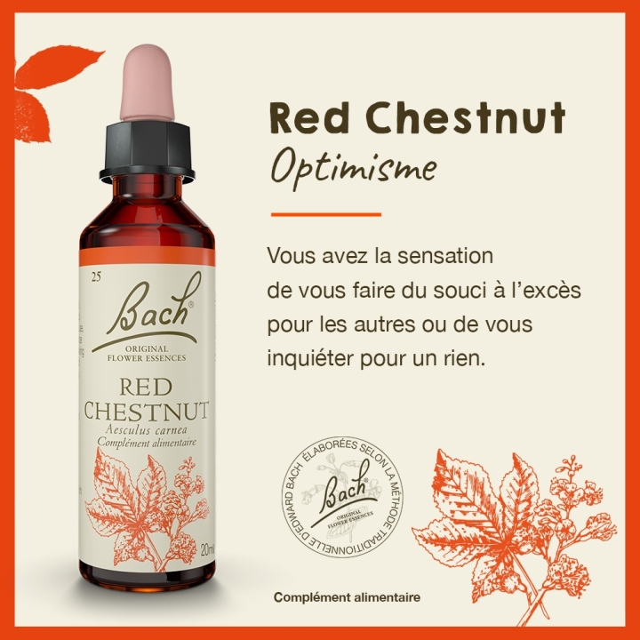 Red Chestnut Bach Original - Fleur de Bach Authentique 20 ml (Marronnier Rouge) Bach Original Nelsons 2 - mesfleursdebach.com 