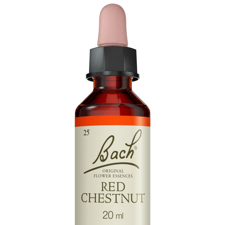 Red Chestnut Bach Original - Fleur de Bach Authentique 20 ml (Marronnier Rouge) Bach Original Nelsons 5 - mesfleursdebach.com 