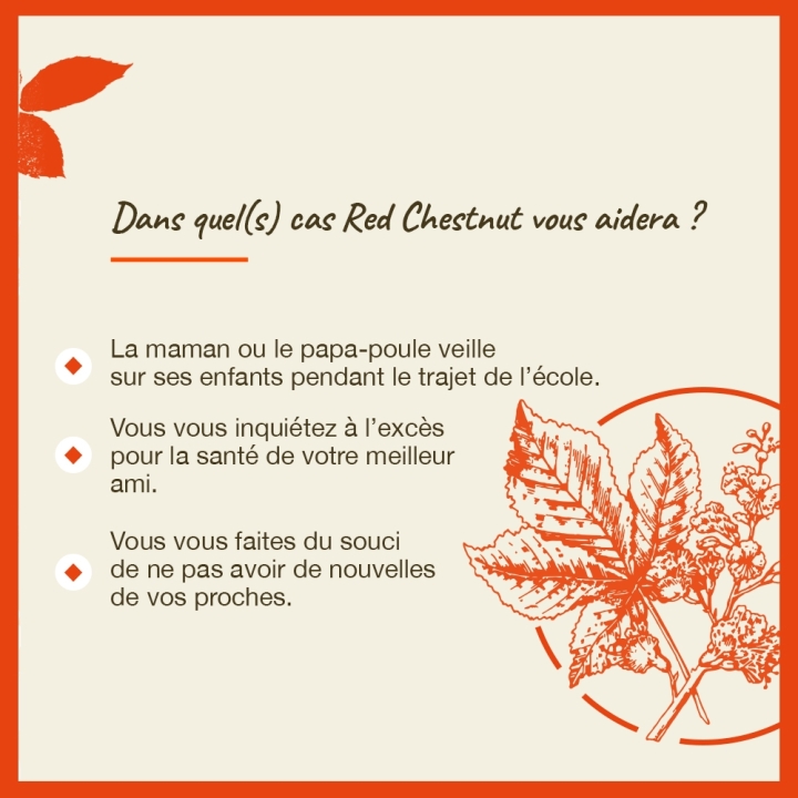 Red Chestnut Bach Original - Fleur de Bach Authentique 20 ml (Marronnier Rouge) Bach Original Nelsons 4 - mesfleursdebach.com 