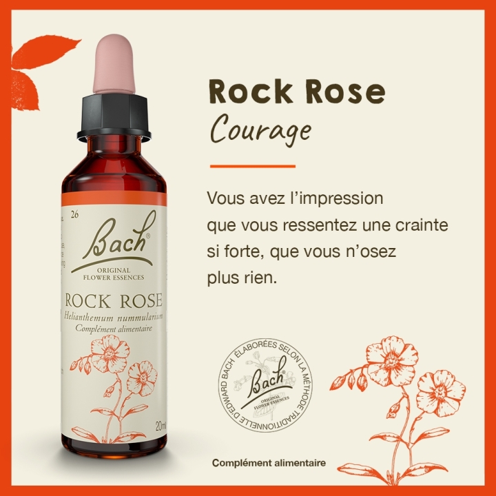 Rock Rose Bach Original - Fleur de Bach Authentique 20 ml (Hélianthème) Bach Original Nelsons 2 - mesfleursdebach.com 