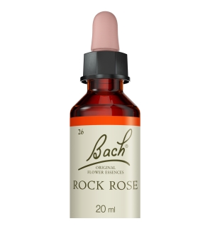Rock Rose fleurs de bach original 20 ml (Hélianthème)