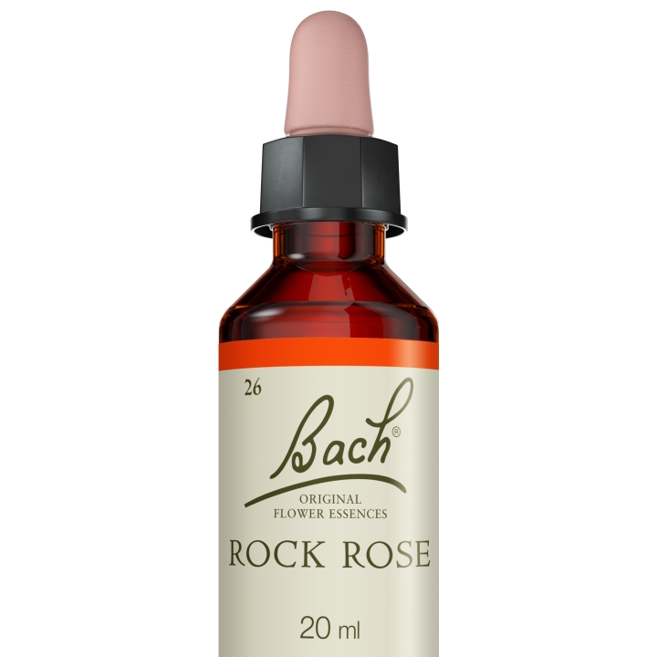 Rock Rose Bach Original - Fleur de Bach Authentique 20 ml (Hélianthème) Bach Original Nelsons 5 - mesfleursdebach.com 