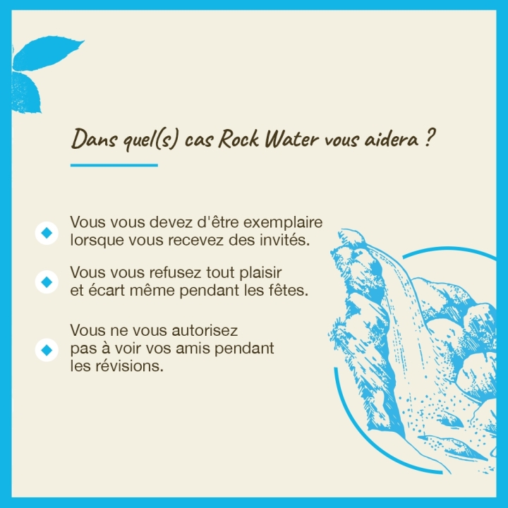 Rock Water Bach Original - Fleur de Bach Authentique 20 ml (Eau de Roche) Bach Original Nelsons 4 - mesfleursdebach.com 