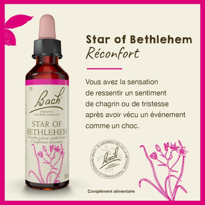Star of Bethlehem Bach Original - Fleur de Bach Authentique 20 ml (Étoile de Bethléem) Bach Original Nelsons 2 - mesfleursdebach