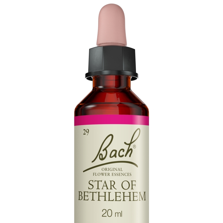 Star of Bethlehem Bach Original - Fleur de Bach Authentique 20 ml (Étoile de Bethléem) Bach Original Nelsons 5 - mesfleursdebach