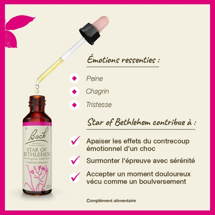 Star of Bethlehem Bach Original - Fleur de Bach Authentique 20 ml (Étoile de Bethléem) Bach Original Nelsons 3 - mesfleursdebach