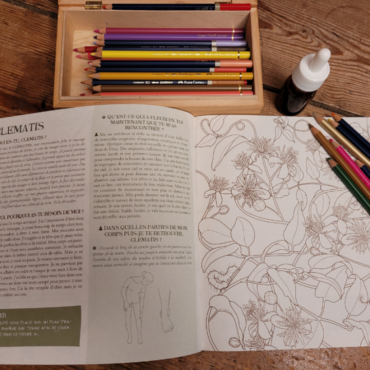 Art-Thérapie et Fleurs de Bach - 38 fleurs à colorier - Lucilla Satanassi Mes Fleurs de BACH 3 - mesfleursdebach.com 