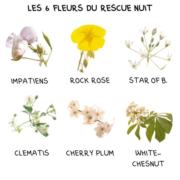 Urgence Rescue sans alcool nuit spray 10 ml - Les Fleurs de l'Atlas Fleurs de l'Atlas - Sans alcool 2 - mesfleursdebach.com 