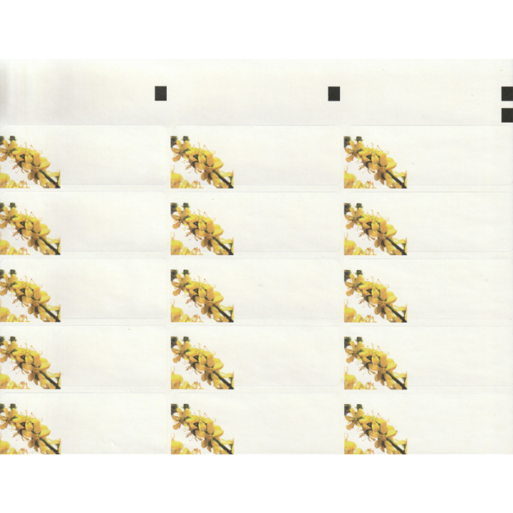 Etiquettes Agrimony - Planche de 15 Mes Fleurs de BACH 2 - mesfleursdebach.com 