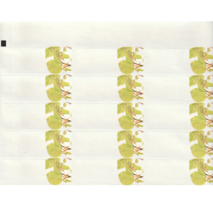 Etiquettes Beech - Planche de 15 Mes Fleurs de BACH 2 - mesfleursdebach.com 