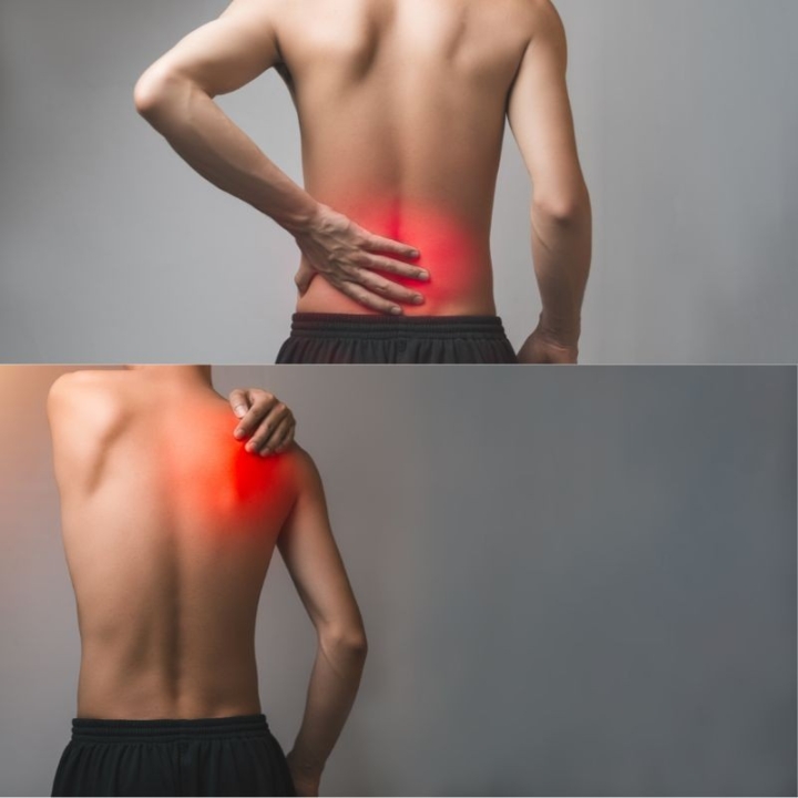 Crème Muscul'r Alchimy Aux Fleurs de Bach et Huiles Essentielles Alchimy 8 - mesfleursdebach.com 