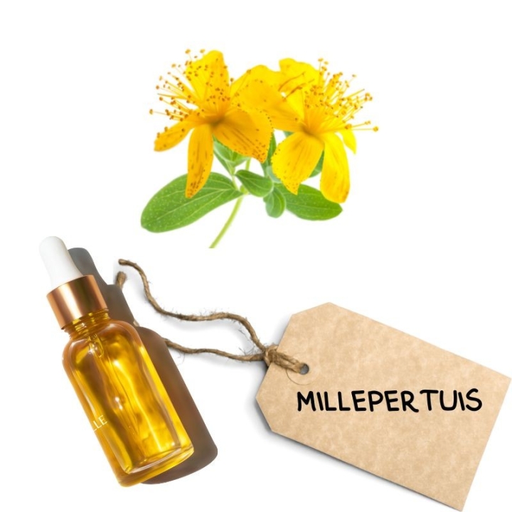 Crème Muscul'r Alchimy Aux Fleurs de Bach et Huiles Essentielles Alchimy 10 - mesfleursdebach.com 