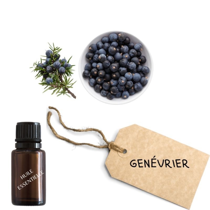 Crème Muscul'r Alchimy Aux Fleurs de Bach et Huiles Essentielles Alchimy 11 - mesfleursdebach.com 
