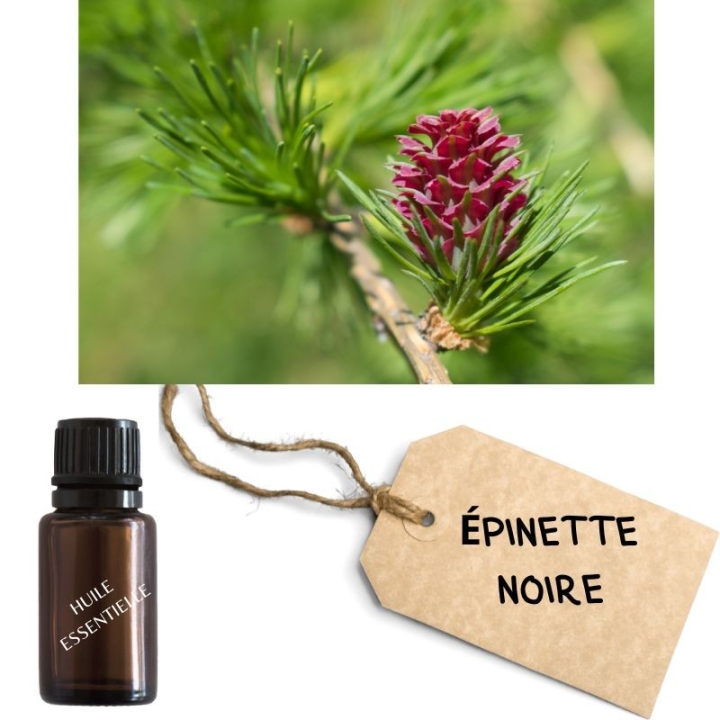 Crème Muscul'r Alchimy Aux Fleurs de Bach et Huiles Essentielles Alchimy 12 - mesfleursdebach.com 