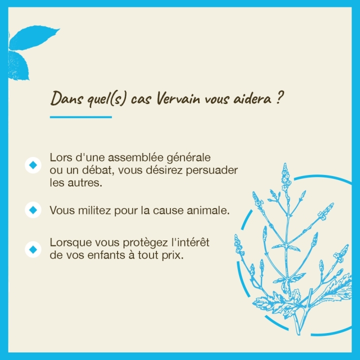 Vervain Bach Original - Fleur de Bach Authentique 20 ml (Verveine) Bach Original Nelsons 4 - mesfleursdebach.com 