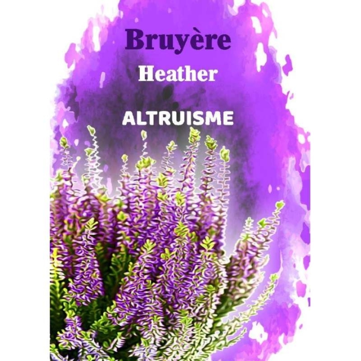Cartes en bois des 38 fleurs de Bach par Magalie Cortinovis [product.brand] 9 - mesfleursdebach.com 