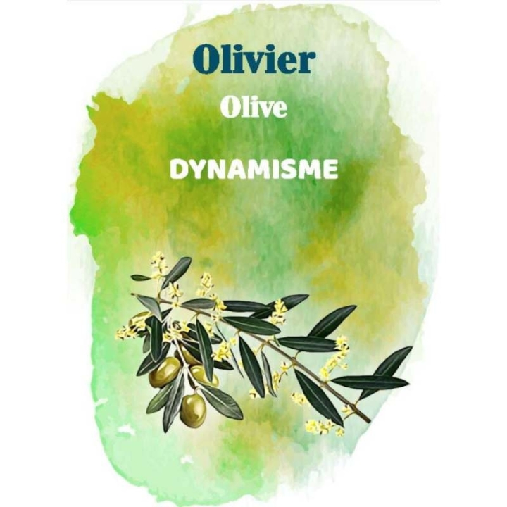 Cartes en bois des 38 fleurs de Bach par Magalie Cortinovis [product.brand] 10 - mesfleursdebach.com 